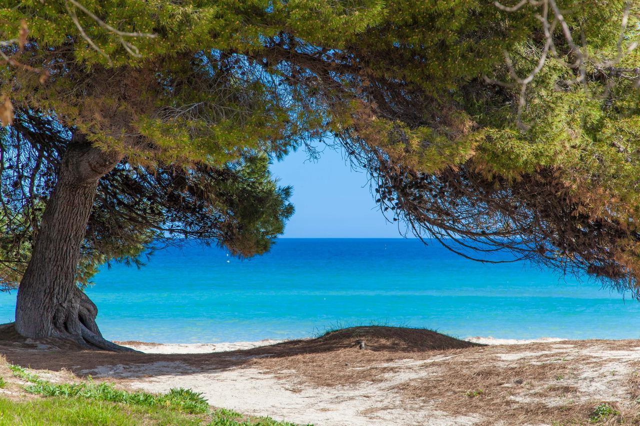 Formentera 2 Villa Can Picafort  Luaran gambar